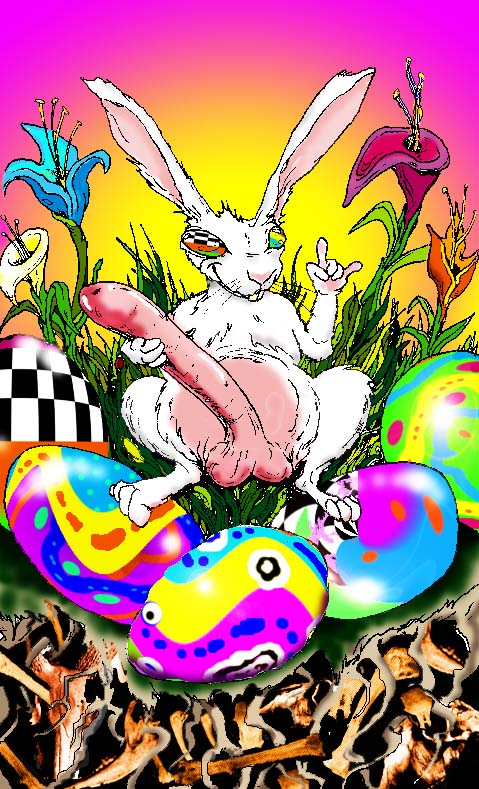 [pooka]
